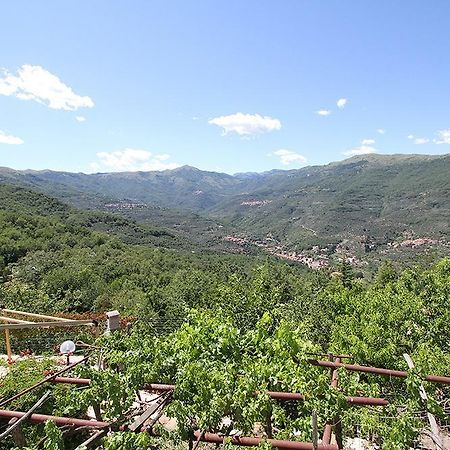 Agriturismo Nonni Devia Lucinasco Eksteriør bilde